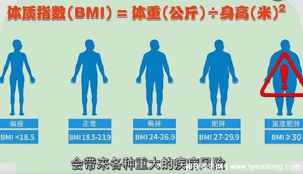 bmi指数男女标准计算公式表185239是正常值24超重30肥胖