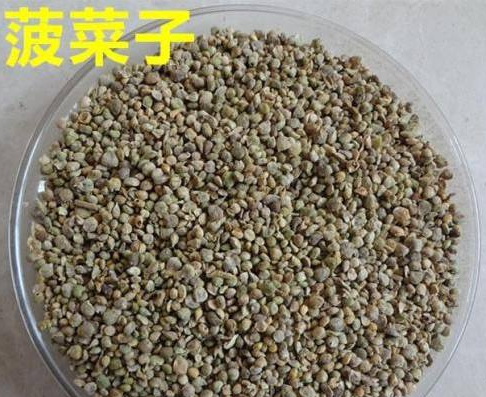 菠菜子的功效與作用及禁忌