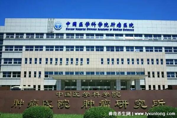 中国医学科学院肿瘤医院、一站式解决您就医代帮挂号，良心办事实力挂号的简单介绍