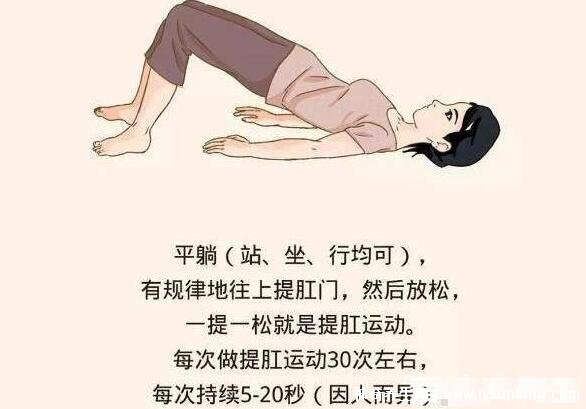 正确的提肛运动图解女图片