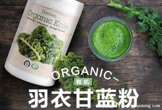 羽衣甘藍粉怎麼喝減肥