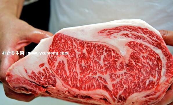 雪花牛肉是牛的哪个部位的肉图解